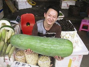 52每日大瓜视频